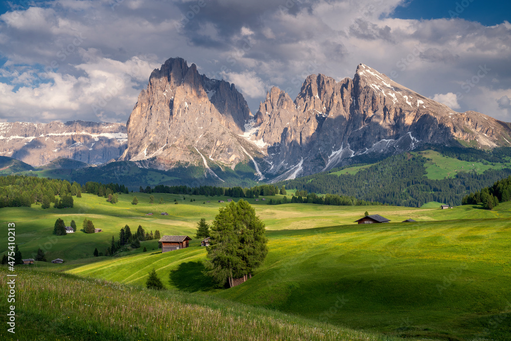 Europe, Italy, South Tirol. Alpine meadows with the Sasso Lungo and Sasso Piatto Mountains.