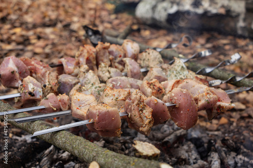 Kebab seasoned with spices grilling, outdoor picnic