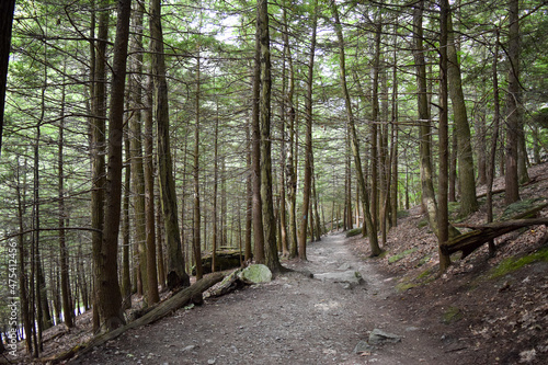 Bash Bish Falls - Hudson, NY photo