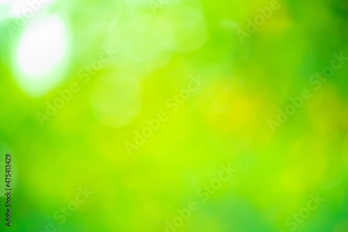 Natural green background. Defocus light green background.