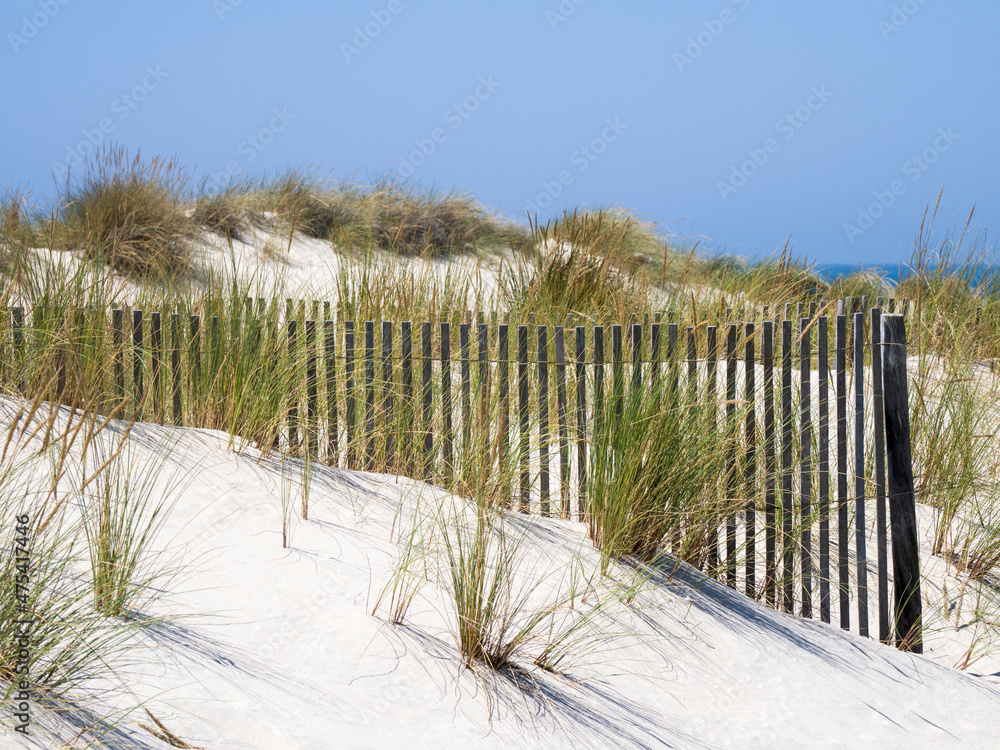 Fototapeta premium Portugal, Costa Nova. Beach grass, sand and old fence line at the beach resort of Costa Nova near Aveiro.