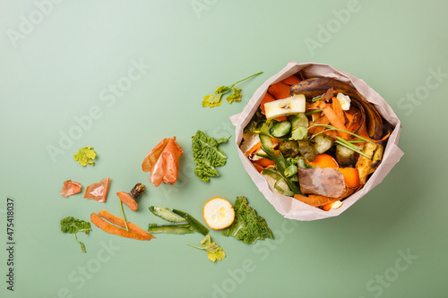 Sorted kitchen waste in paper eco bag on green background. Compost-container. Sustainable life style. Vegetable and fruit peels, scraps from food preparation collected in trash-pack for recycling photo