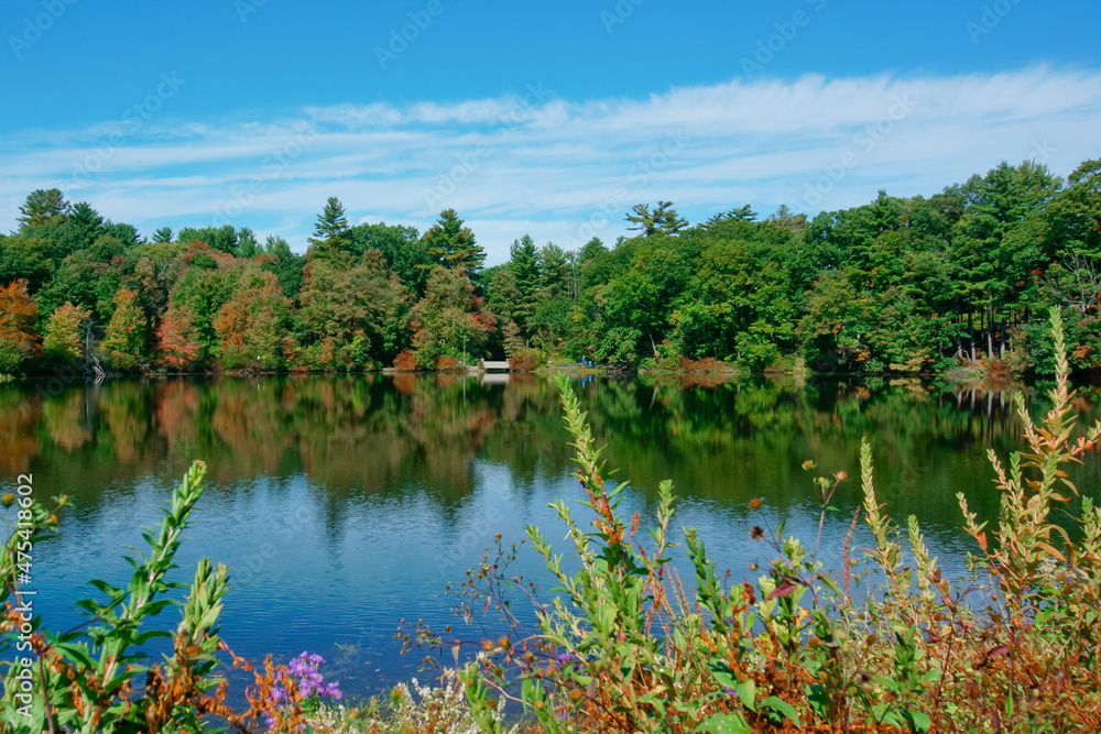 Tranquil lake and reflections