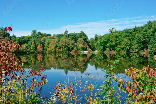 Tranquil lake and reflections photo