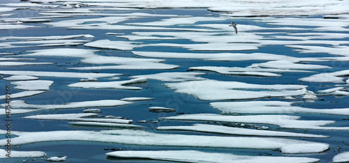 Floating ice in Chukchi Sea, Russian Far East