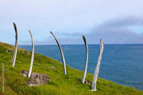 Bowhead Whale ribs in arch formation, Cape Dezhnev, most eastern corner of Eurasia, Russian Far East photo