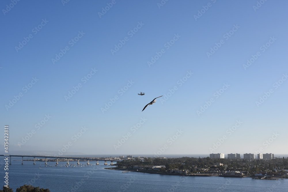 San Diego Downtown Port