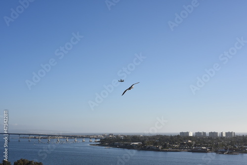 San Diego Downtown Port