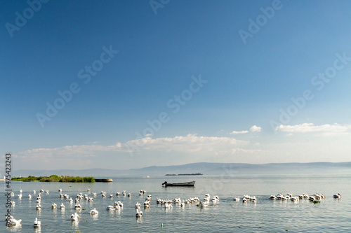 Lake Chapala, Mexico