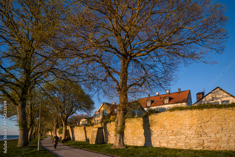 Sweden, Gotland Island, Visby, 12th century city wall, most complete medieval city wall in Europe, sunset