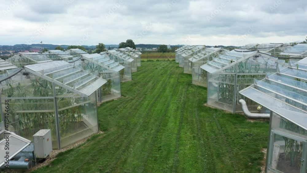 Greenhouse science research open top chambers climate change, corn