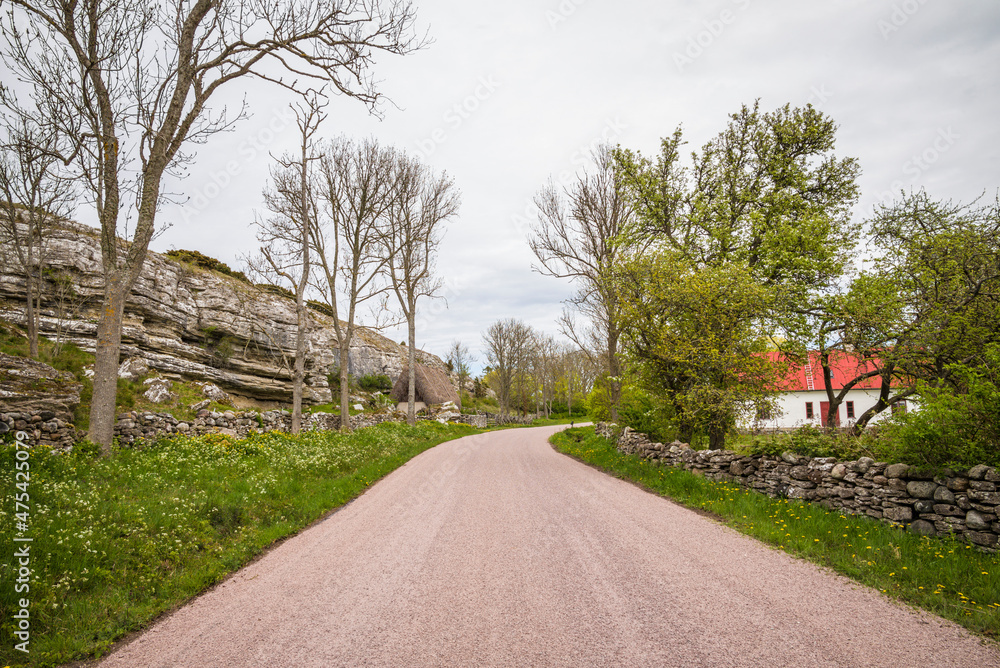 Sweden, Gotland Island, Sundre, country road, southern Gotland