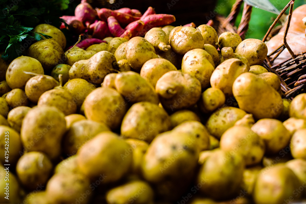 Stack of Potatoes at Farmers Market Stack of Potatoes at Farmers Market