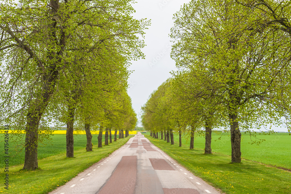 Sweden, Lake Vattern Area, country road, springtime Sweden, Lake Vattern Area, country road, springtime