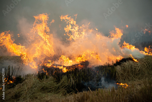 Burning fire and smoke in fields, open fields, where farmers burn for Destroys grass and dry paddy fields. causing environmental problems and Air pollution.. © topten22photo