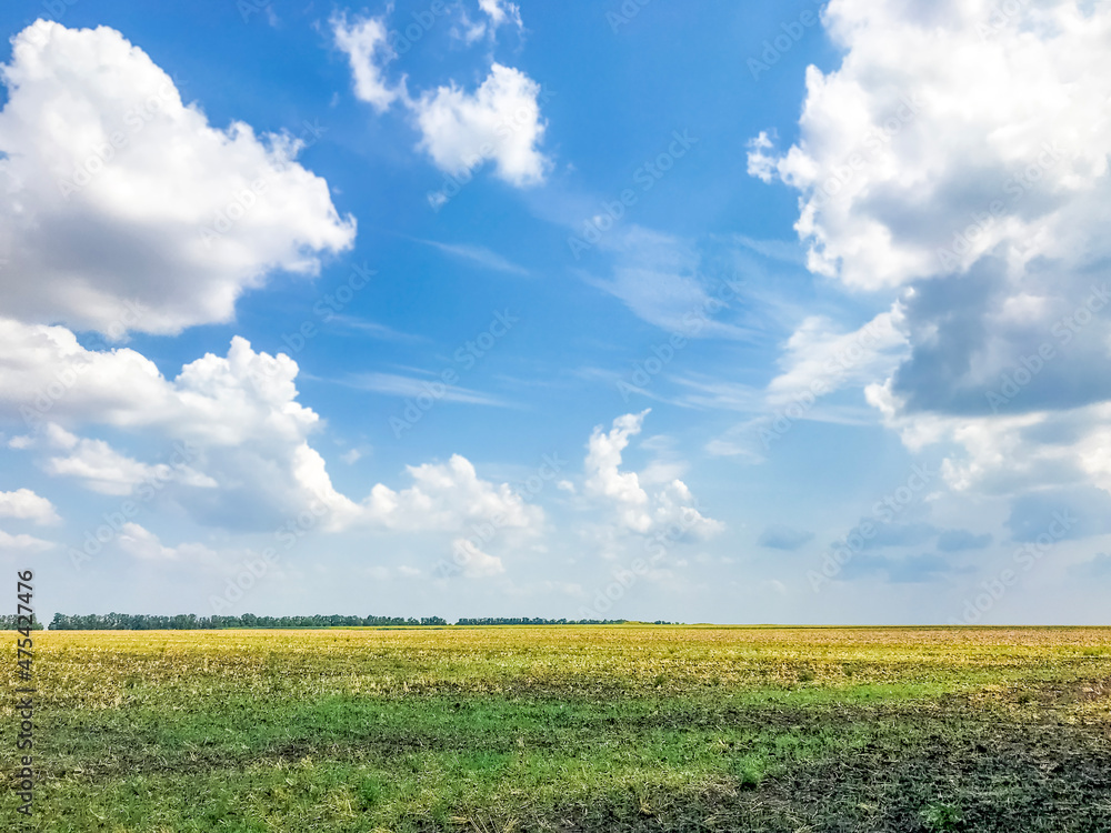 Beautiful view of the horizon in the Russian field Beautiful view of the horizon in the Russian field