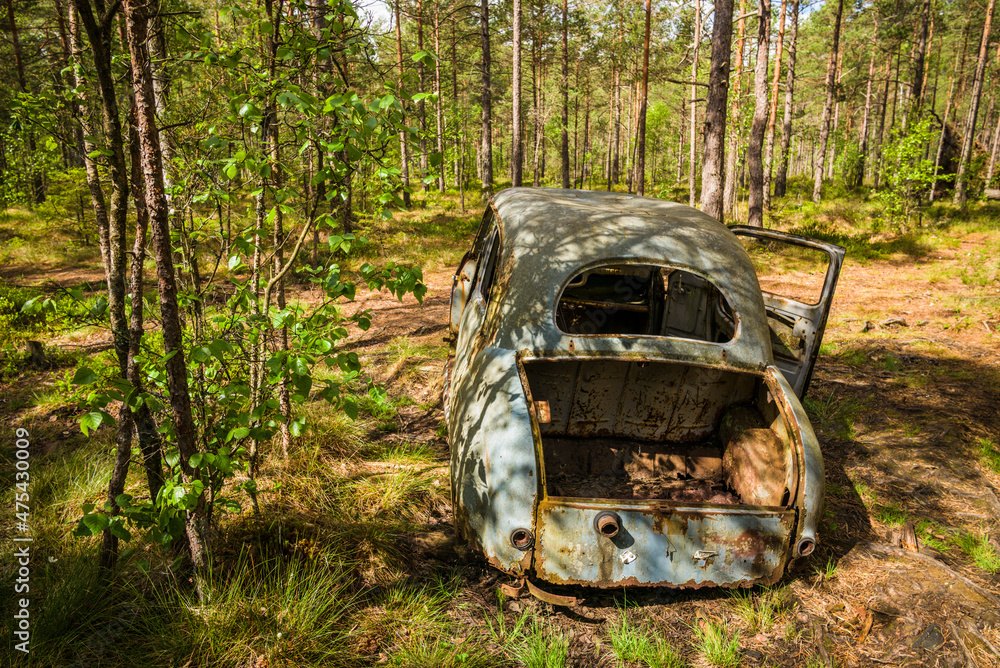 Sweden, Smaland, Ryd, Kyrko Mosse Car Cemetery, former junkyard now pubic park, junked cars Sweden, Smaland, Ryd, Kyrko Mosse Car Cemetery, former junkyard now pubic park, junked cars