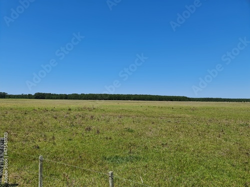 fazenda para pecuária