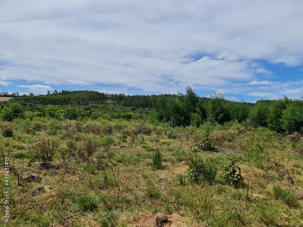 fazenda para pecuária