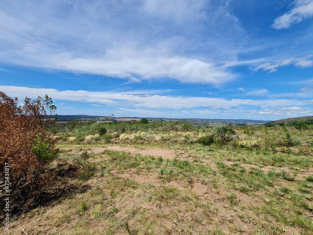 mata queimada, deserto, árido, vegetação seca, 