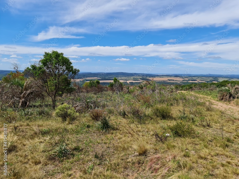 Catinga Solo rido Mato Queimado Seca Estiagem Foto De Stock 