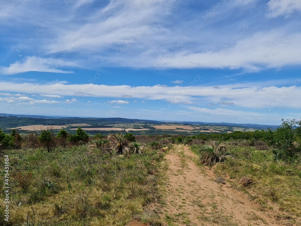 Catinga Solo rido Mato Queimado Seca Estiagem Stock Photo Adobe 