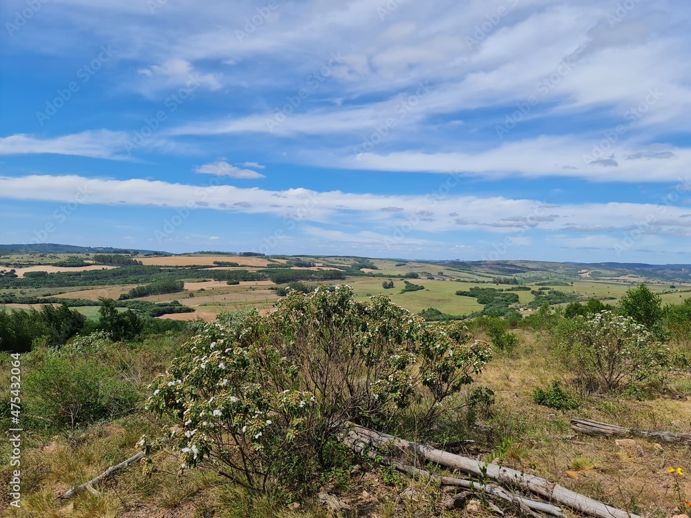 Obraz premium pecuária, fazenda, pasto, agronegócio