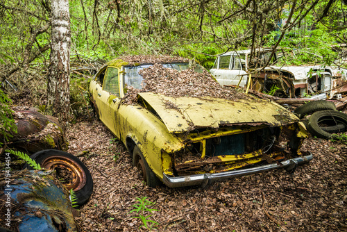 Sweden, Varmland, Bastnas, Bastnas Car Cemetery public park, antique car junkyard photo