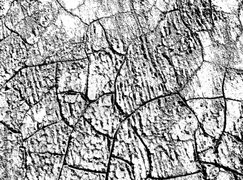 The texture of cracks. The structure is dry cracked soil. Black and white vector illustration.