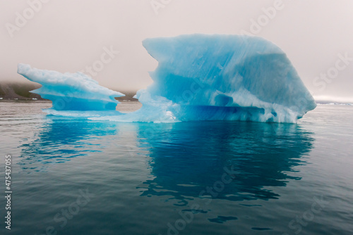 Blue iceberg in the fjord of Narsarsuaq  Greenland