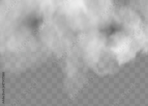 Transparent special effect stands out with fog or smoke. White cloud vector, fog or smog.