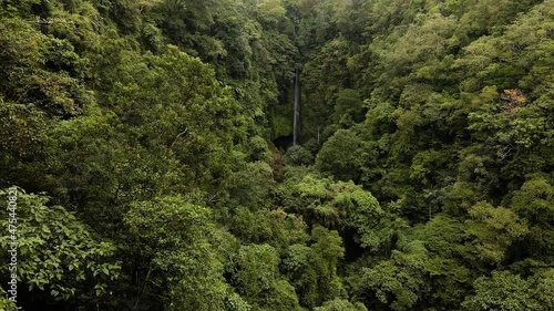 Flying Over Dense Forest Towards Secluded Pucak Manik Waterfall In Wanagiri, Bali, Indonesia. - aerial photo