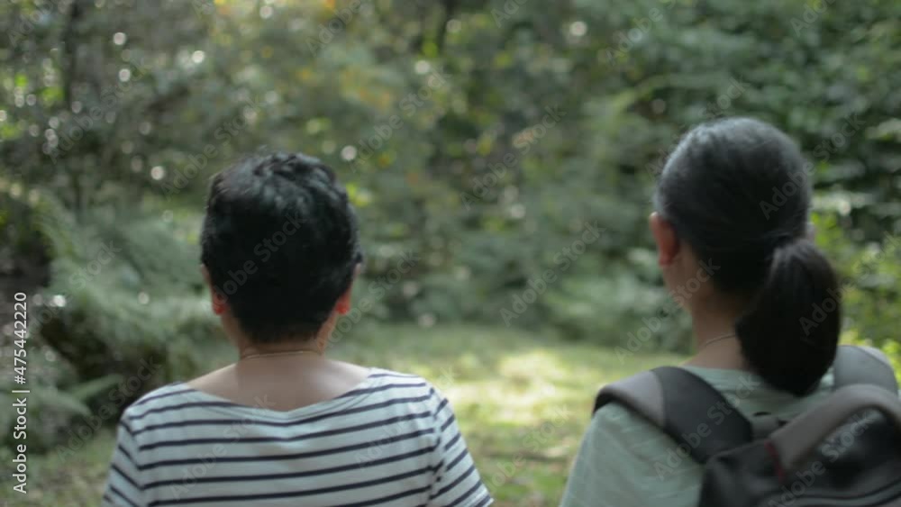 Rear view of Asian mother and her teenage daughter with backpack walking together through the natural park in summer morning. Camping in family trip. Nature conservation. Rear view of Asian mother and her teenage daughter with backpack walking together through the natural park in summer morning. Camping in family trip. Nature conservation.