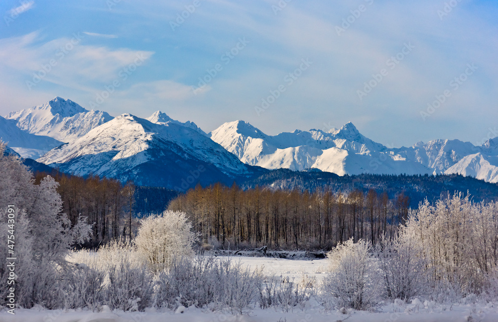 Landscape of mountain and forest covered with snow, Haines, Alaska, USA