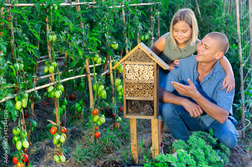 Father and daughter sitting beside insect hotel in kitchen garden