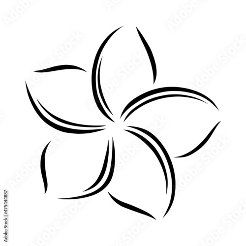 Frangipani or plumeria exotic summer flower. Engraved frangipani isolated in white background. Outline vector illustration
