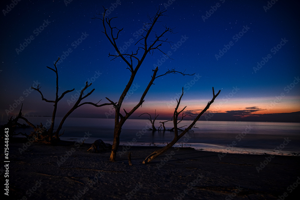 USA, Georgia, Jekyll Island, Sunrise on Driftwood Beach of petrified trees USA, Georgia, Jekyll Island, Sunrise on Driftwood Beach of petrified trees
