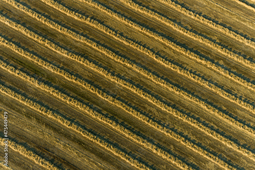 Aerial view of rows of wheat straw before baling, Marion County, Illinois