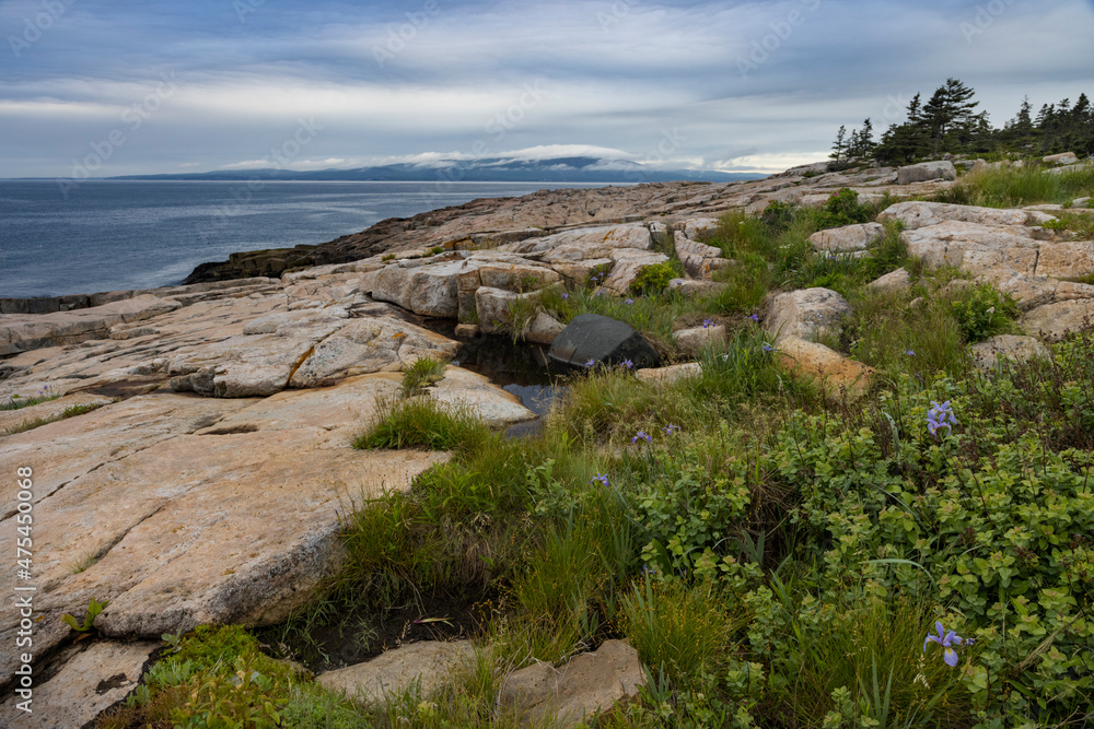 Schoodic Point in Acadia National Park, Maine, USA
