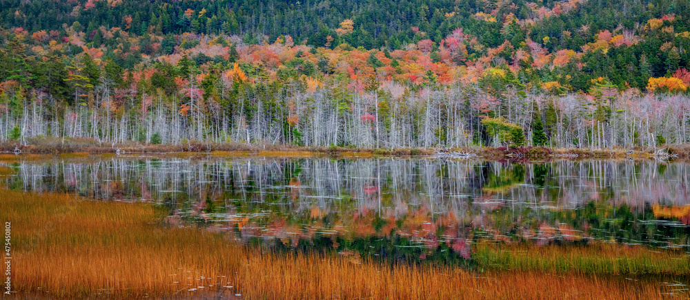 USA, New England, Maine, Mt. Desert Island, Acadia National Park with small lake with hillsides in Autumns color reflected