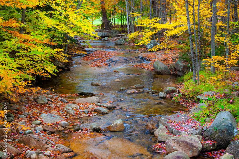 USA, New Hampshire, New England, Jackson small stream surrounded in Fall color USA, New Hampshire, New England, Jackson small stream surrounded in Fall color
