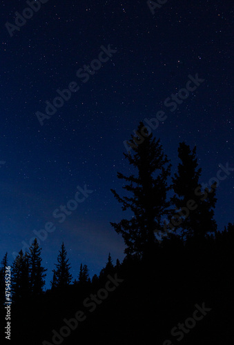 Stargazing in the Pecos Wilderness, New Mexico