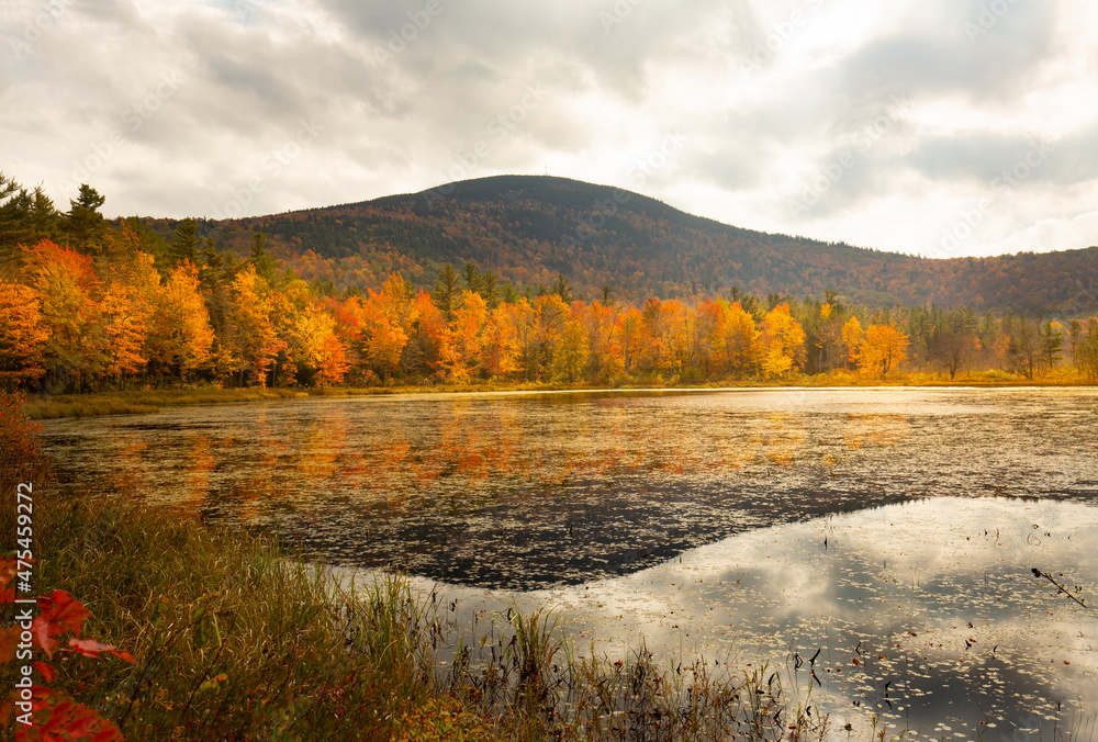 Fall foliage at Morey Pond, with a Mt. Kearsarge background.