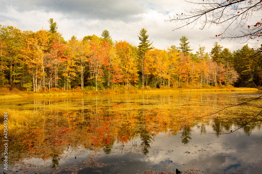 Brilliant fall foliage around Morey Pond in Wilmot, New Hampshire. Brilliant fall foliage around Morey Pond in Wilmot, New Hampshire.