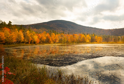 Fall foliage at Morey Pond, with a Mt. Kearsarge background.