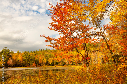 Brilliant fall foliage around Morey Pond in Wilmot, New Hampshire.