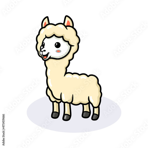 Cute little alpaca cartoon posing