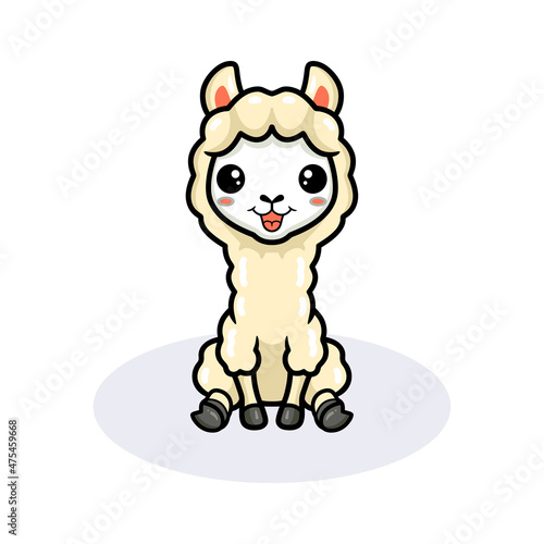 Cute little alpaca cartoon sitting
