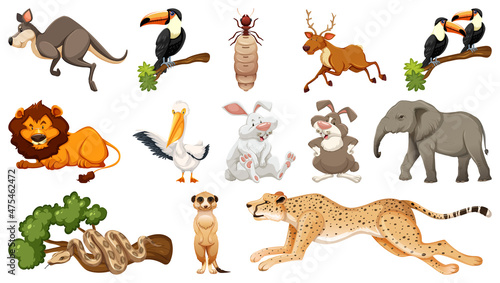 Set of different wild animals cartoon characters