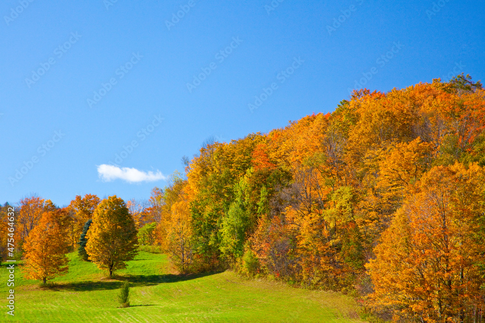 USA, New England, Vermont, Fall USA, New England, Vermont, Fall